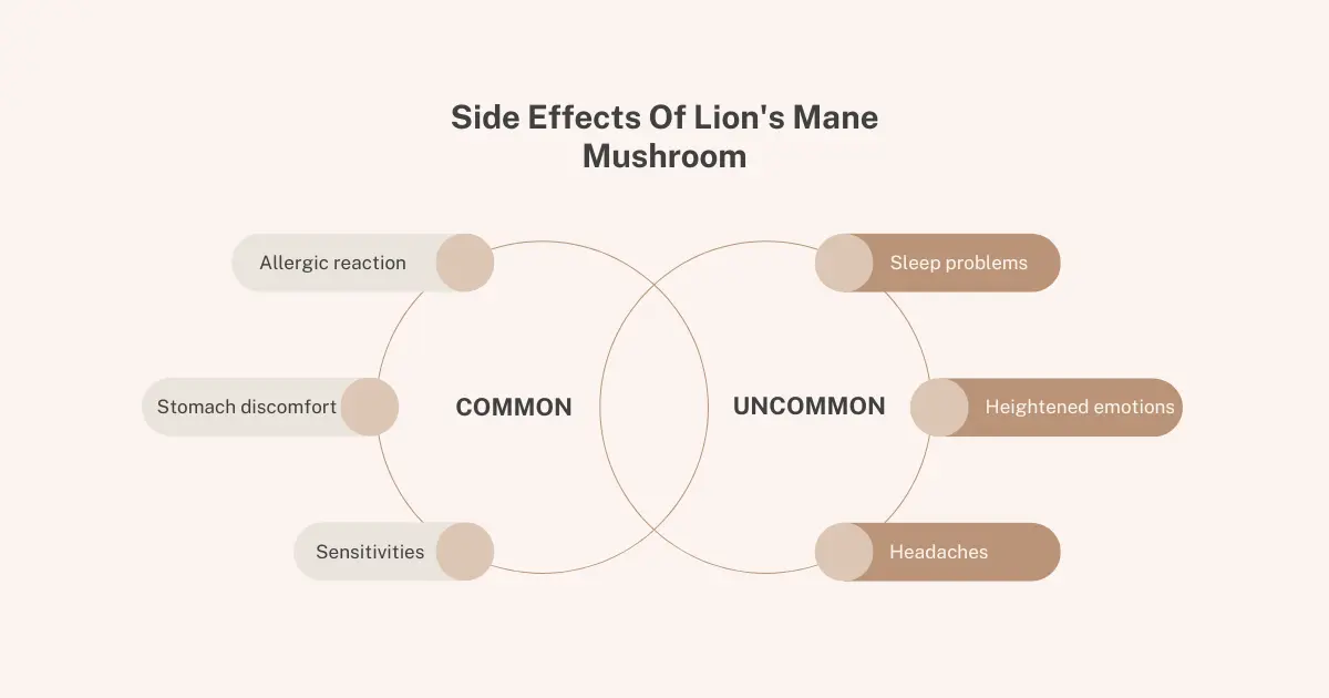 Side effects of lion's mane mushroom