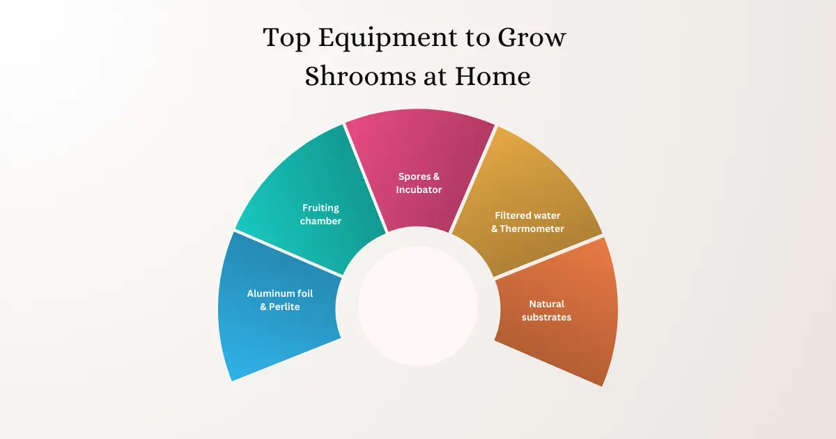 equipment to grow shrooms at home